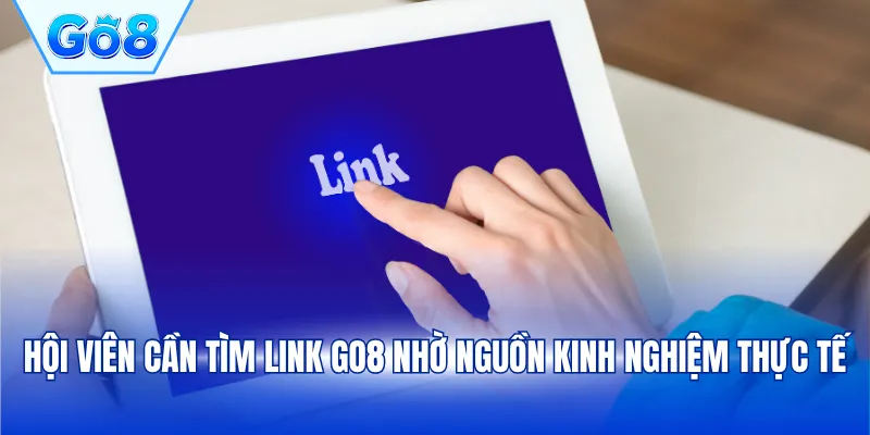 Hội viên cần tìm link GO8 nhờ nguồn kinh nghiệm thực tế