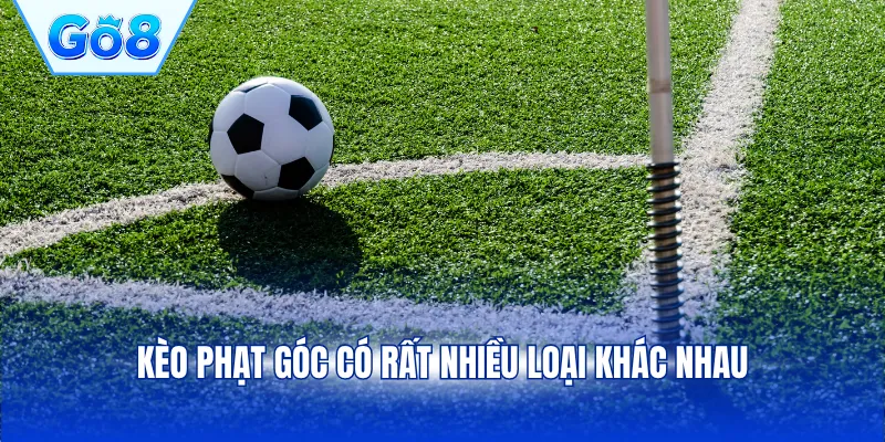 Kèo phạt góc có rất nhiều loại khác nhau